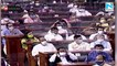 Some can't digest more women, SC/STs as ministers: PM's jibe as Opposition MPs disrupt address