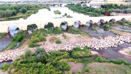Balıkları zehir değil kavuran sıcaklar öldürdü
