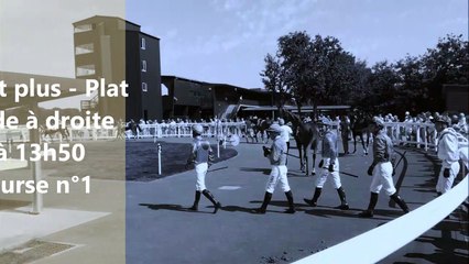 Pronostic Quinté PMU du mardi 20 juillet 2021