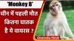 Monkey B Virus: क्या है मंकी बी वायरस जिससे China में हुआ पहली मौत है ? | वनइंडिया हिंदी