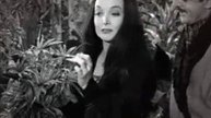 The Addams Family Season 1 Episode 3 Festers Punctured Romance