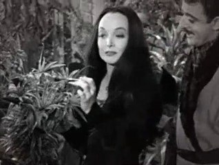 The Addams Family Season 1 Episode 3 Festers Punctured Romance