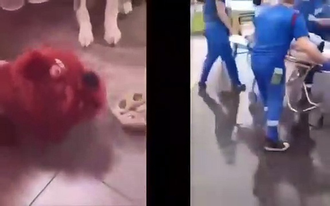 No se pierdan este vídeo en el que se compara e...