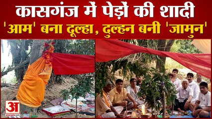 कासगंज में पेड़ों की अनूठी शादी: 'आम' बना दूल्हा, दुल्हन बनी 'जामुन', देखें वीडियो