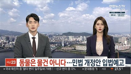 '동물은 물건 아니다' 민법 개정안 입법예고