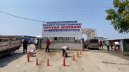 Hayvan pazarındaki kurbanlıklar alıcılarını bekliyor
