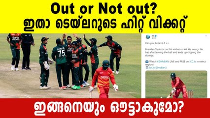 Zimbabwe's Brendan Taylor suffers bizarre hit-wicket dismissal against Bangladesh, video goes viral
