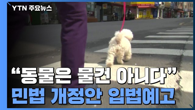 동물은 물건 아니다 ...민법 개정안 입법예고 / YTN