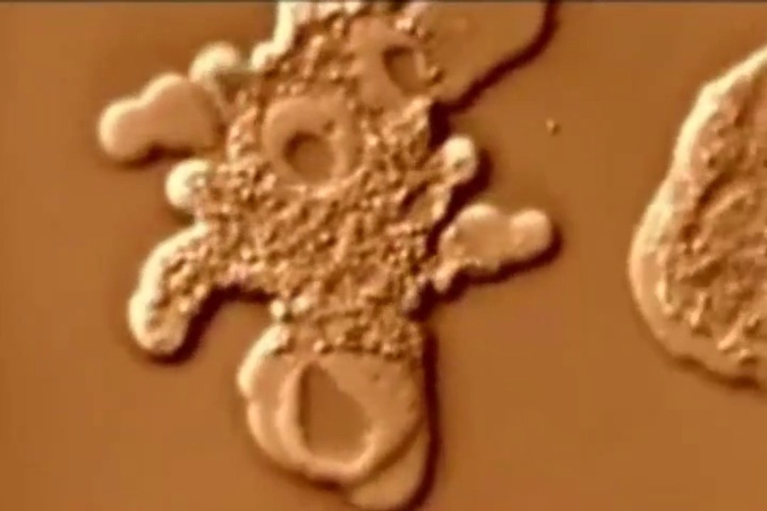 Greatest Discoveries in Biology