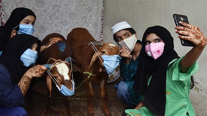 Bakra Eid 2021 Date: India में 20 या 21 जुलाई कब मनेगी Eid Al Adha 2021 | Boldsky