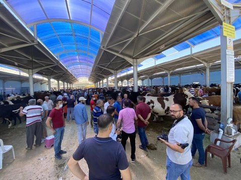 Arefe günü Kurban Pazarları hareketlendi