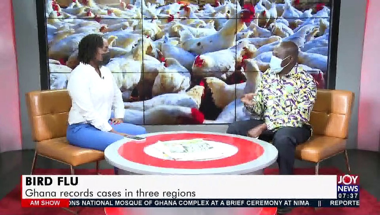 Bird FLU: Ghanaians must avoid buying chicken at the moment – Dr. Kikimoto - AM Talk (19-7-21)
