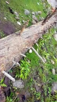 kumrat valley 2021| jahaz banda #shorts