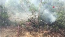 Osmaneli'de orman yangını: 10 hektar ormanlık alan yandı