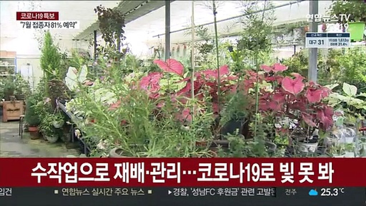 직격탄 맞은 화훼농가…매출 감소에 인력난까지