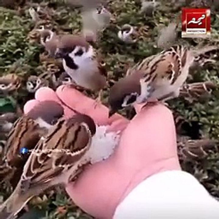 جو شخص مجھ پر 500 مرتبہ دل میں درود شریف پڑھے گا وہ شخص زندگی میں کسی