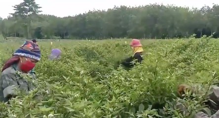 เรื่องพลบค่ำ ช่วงที่ 1 วันจันทร์ที่ 19 ก.ค.64