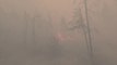 Los incendios forestares siguen devorando Rusia