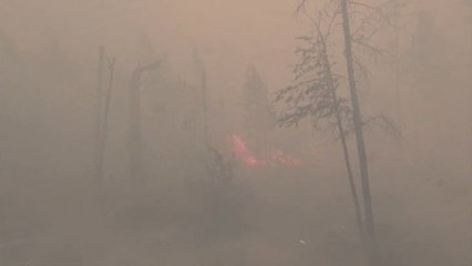 Los incendios forestares siguen devorando Rusia