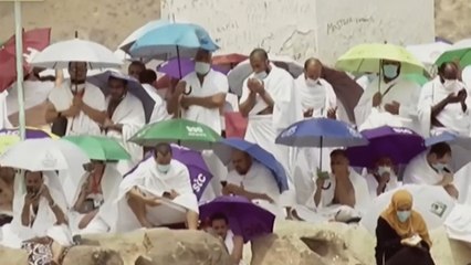 Begini Suasana Wukuf di Padang Arafah