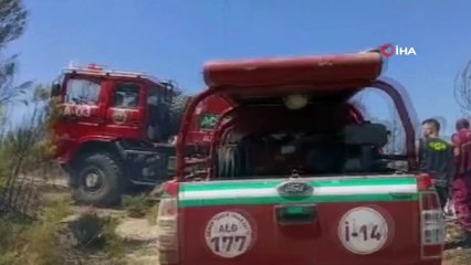 Denizli'de orman yangını: 15 dekar orman küle döndü