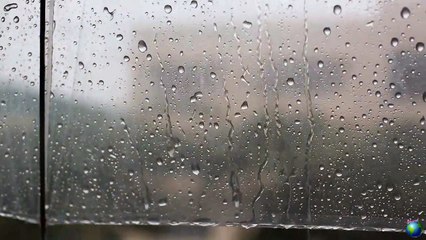 Umbrella Rain Sounds - For Deep Sleep