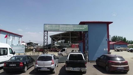Hayvan pazarlarında arife günü yoğunluğu