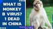 Monkey B Virus claims its first victim in China| What are the symptoms and causes| Oneindia News