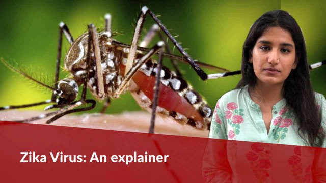 Everything you need to know about Zika virus reported in Kerala