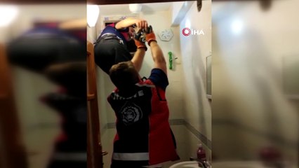 - Havalandırma boşluğundan gelen sesleri fark ettiler, 3 yavru kurtarıldı