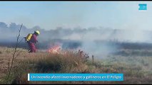 Un incendio afectó invernaderos y gallineros en El Peligro