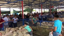 Sındırgı'da yeni kurulan hayvan pazarında arife yoğunluğu yaşandı