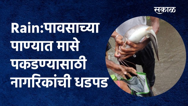 Rain:पावसाच्या पाण्यात मासे पकडण्यासाठी नागरिकांची धडपड |Fish | Citizens | Mumbai Rain |Sakal Media