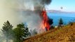 Elazığ’da orman yangını: Çok sayıda ekip sevk edildi