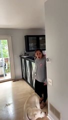 Dog Bed Pulverized by Proud Pup