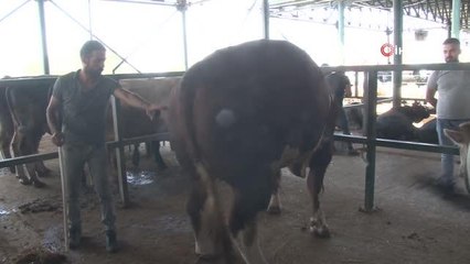 Bin 470 kiloluk 'Covid' alıcısını bekliyor