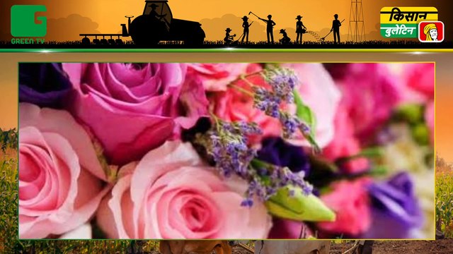Jaivik Kheti (जैविक खेती) करने वाले किसानों को सरकार ने दिया तोहफा, अब बेझिझक Online बेच पाएंगे अपने Jaivik उत्पाद : Kisan Bulletin : Green TV