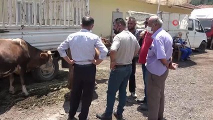 Karabük'te hayvan pazarında Arife Günü hareketliliği