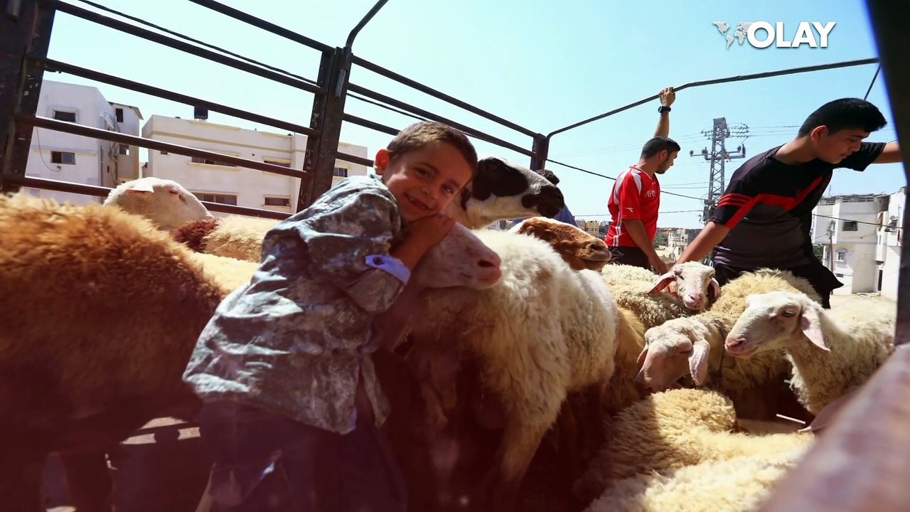 Kurban Bayramımız mübarek olsun