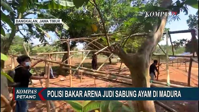 Polisi Bakar Arena Judi Sabung Ayam di Bangkalan Madura