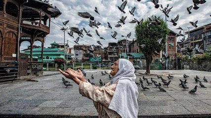 Contours of a naya Kashmir: The promise and the peril