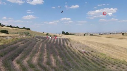 Fransa'dan gelirken getirdiği 1 avuç tohumla kendi işini kurdu