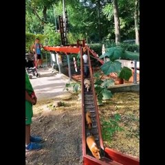 Cute baby animals Videos Compilation cute moment of the animals  Cutest Animals 5