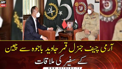 Chinese Ambassador meets Army Chief General Qamar Javed Bajwa