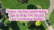 31 Money-Saving Landscaping Tips to Help You Stretch Your Gardening Budget