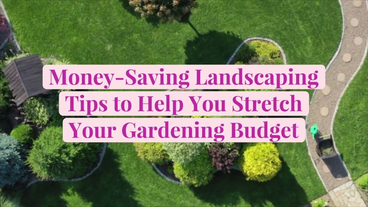 31 Money-Saving Landscaping Tips to Help You St...