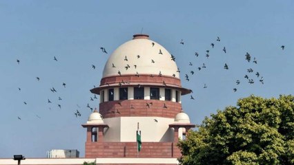 SC seeks Kerala Govt's reply on relaxations for Bakrid