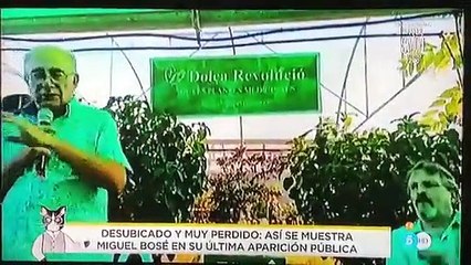 Preocupación por Miguel Bosé tras su última aparición pública: "Está mucho peor"