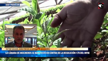 La Cámara de Molineros se manifestó en contra de la Resolución 170 del INYM