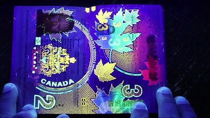 Il expose le passeport canadien à la lumiere noire... magique